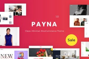 Payna v.1.2.5 – 简洁、轻便的 WooCommerce 主题下载