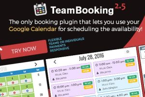 Team Booking v.2.6.0 – WordPress预订系统插件下载