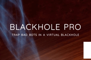 Blackhole Pro v.3.2.1 – WordPress 机器人保护插件下载