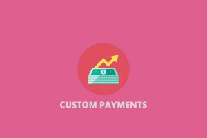 WPruby WooCommerce Custom Payment Gateway Pro v.2.6.0 插件下载