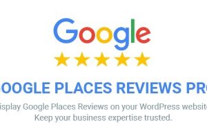 Google Places Reviews Pro WordPress Plugin v2.4.5 Google评价评分插件下载