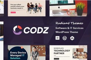 Codz v.1.0.6 – 软件和 IT 服务主题下载