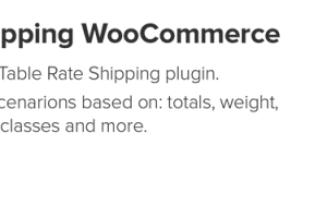 Flexible Shipping PRO WooCommerce v.2.15.2 快递运输插件下载