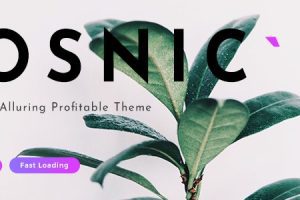 Osnic v.3.0.0 – Adsense WordPress 主题下载