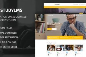 Studylms v1.25 – 教育 LMS 和课程 WordPress 主题下载