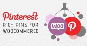 Pinterest for WooCommerce v.2.4.2 插件下载