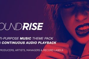 SoundRise v.1.6.0 – 艺术家、制作人和唱片公司 WordPress 主题下载