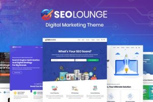 SEOLounge v.4.0.2 – SEO 机构 WordPress 主题下载