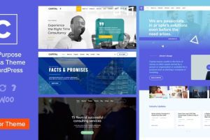 Capital v.2.9 – 多用途商业 WordPress 主题下载