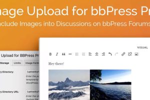 Image Upload for bbPress Pro v.2.1.36 bbPress Pro 的图片上传插件下载