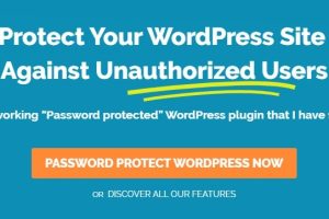Password Protect WordPress Pro v.1.4.0 内容密码保护插件下载