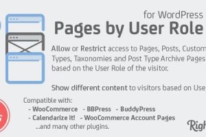 Pages by User Role for WordPress v1.7.2.101119 WordPress 按用户角色划分的页面插件下载