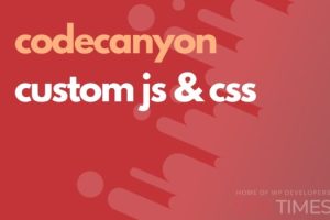 Custom JavaScript & CSS in Pages v.3.7 在任意页面嵌入CSS和Javascript插件下载