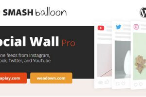 Smash Balloon Social Wall v1.0.8 网站同步社交媒体帖子内容插件下载