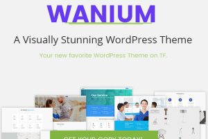 Wanium v1.7.5 – 优雅的多概念主题下载