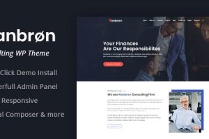 Ranbron v.3.0 – 商业和咨询 WordPress 主题下载