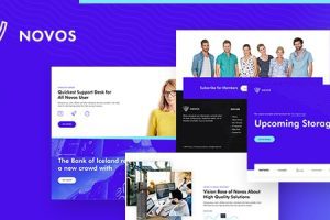 Novos v1.1.0 – IT 公司和数字解决方案 WordPress 主题下载