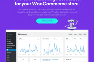 AutomateWoo 5.6.0 Woocommerce商店营销插件下载