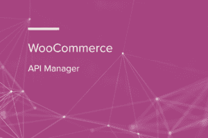 WooCommerce API Manager 3.2.2 插件下载