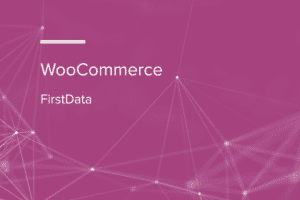 WooCommerce FirstData WooCommerce Extension 4.9.0