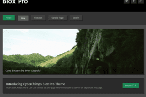 CyberChimps – Blox Pro 2 1.2