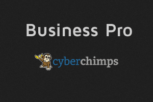 CyberChimps – Business Pro 4 4.3