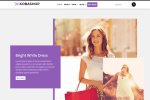 CyberChimps – Kobashop 1.0