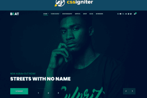 CSS Igniter Beat WordPress Theme 1.3.1