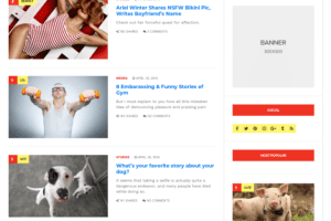 CSS Igniter Doberman Viral Magazine WordPress Theme 1.4.2 杂志主题下载