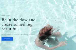 ElmaStudio Pukeko WordPress Theme 1.2.4