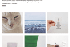 ElmaStudio Ubud WordPress Theme 1.0.9