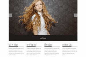 Graph Paper Press Albedo WordPress Theme 1.3.6