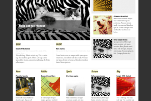 Graph Paper Press Berlin WordPress Theme 2.5.2