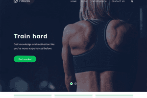 Fitness by MyThemeShop 1.0.10