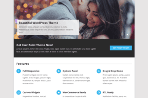 MyThemeShop Point Pro WordPress Theme 2.2.6 主题下载