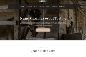 MyThemeShop Saddle WordPress Theme 1.0.10 主题下载