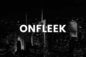 Onfleek 3.5 – AMP响应杂志主题 下载