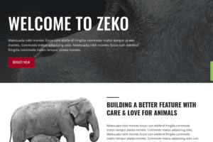 ThemeIsle Zeko WordPress Theme 1.2.2