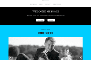 Themify Bold WordPress Theme v7.0.2 主题下载
