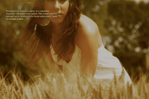 Themify Fullscreen WordPress Theme 7.0.2 主题下载