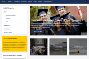 WPZoom Academica Pro 3 WordPress Theme 3.0.17