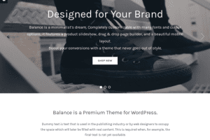 WPZoom Balance WordPress Theme 2.0.5