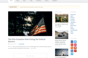 WPZoom Chronicle WordPress Theme 1.1.8