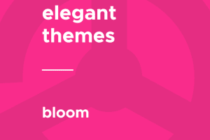 Elegant Themes – Bloom 1.3.12