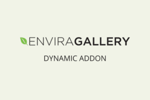 Envira Gallery Dynamic 1.6.1 附加组件下载