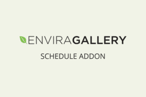Envira Gallery Schedule 1.2.3 附加组件下载
