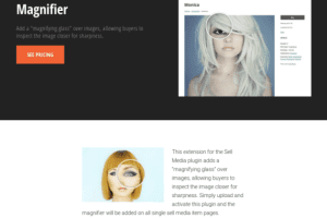 Graph Paper Press Sell Media Magnifier 2.0.1 图片放大拓展插件下载