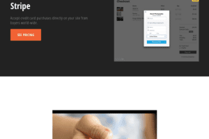 Graph Paper Press Sell Media Stripe 2.1.7 Stripe支付网关拓展插件下载