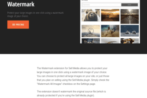 Graph Paper Press Sell Media Watermark 2.0.4 水印拓展插件下载