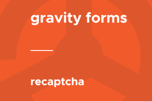 Gravity Forms – reCAPTCHA 1.1